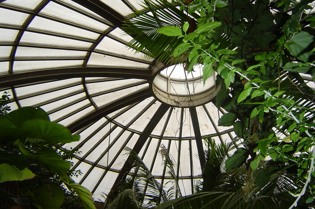 Priestor so zelenými rastlinami a kruhovou presklenou strechou.jpg